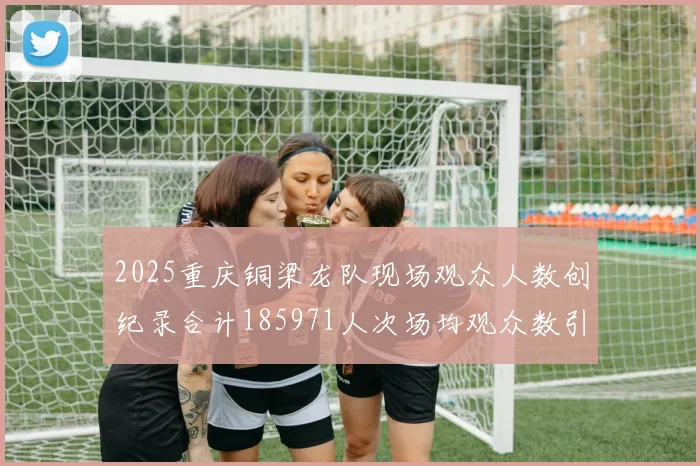2025重庆铜梁龙队现场观众人数创纪录合计185971人次场均观众数引发热议
