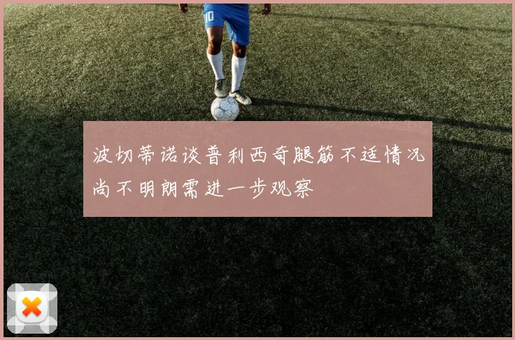 波切蒂诺谈普利西奇腿筋不适情况尚不明朗需进一步观察