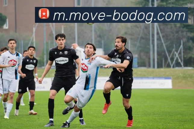 博狗娱乐发展历程